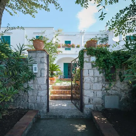 Domenicanda Κάπρι