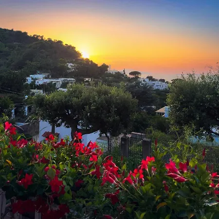Domenicanda Villa